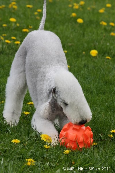 2011-04-23 Quincy etc (37).jpg